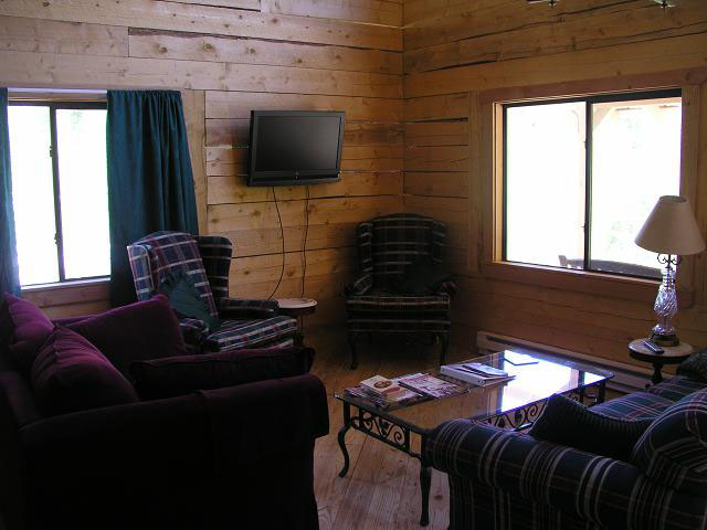 cabin29-den.JPG (60215 bytes)